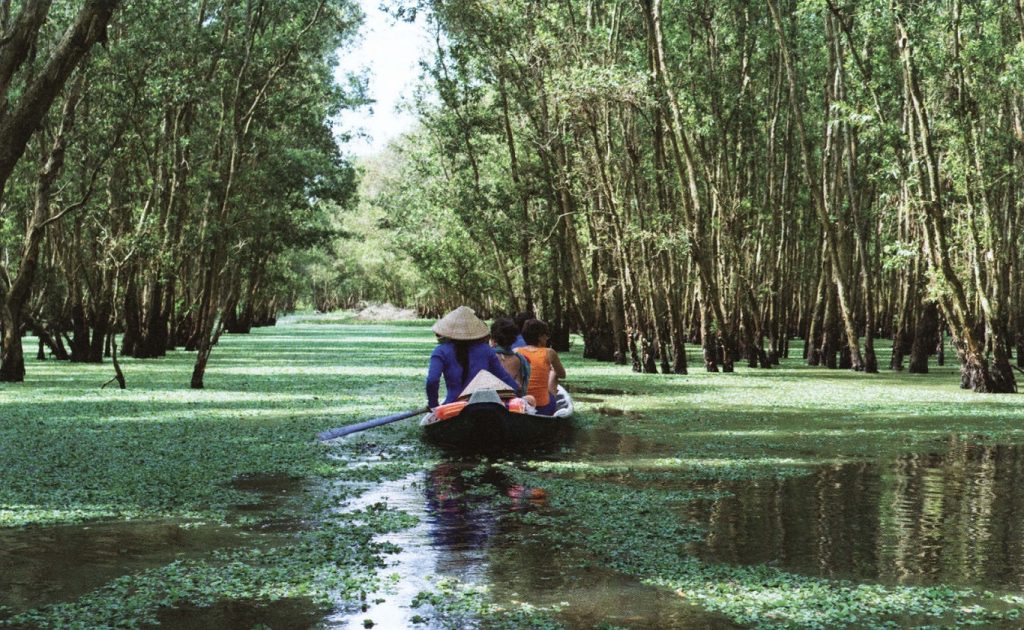 Вьетнам лес Тра Су